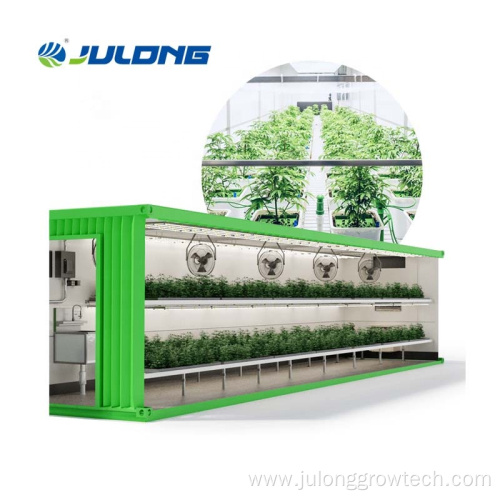 Shipping container grow room with 40ft